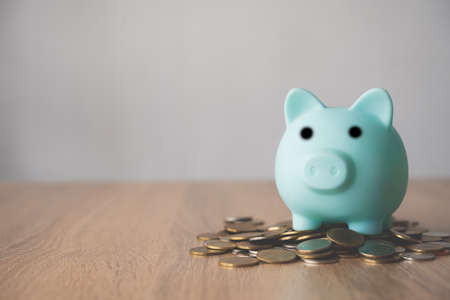 piggy save placed on pile of money -concept save moneyの写真素材