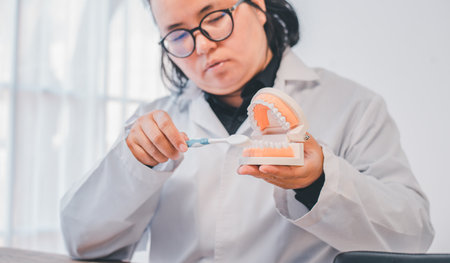 Dentists are demonstrating with dentures to educate them. About orthodontics And brushing teethの写真素材