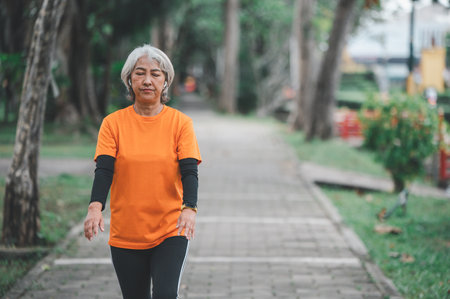 Elderly, white-haired Asian woman exercising in the park early in the morning.の写真素材