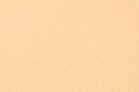 sandy beach backgroundの写真素材