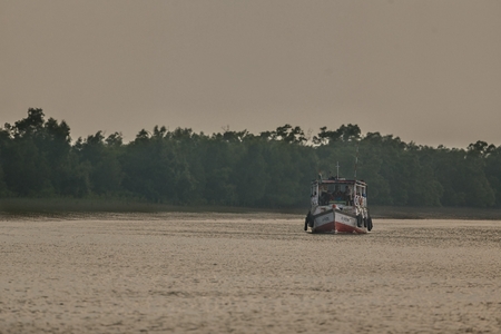 Beauty of Sundarbans mangroves in India