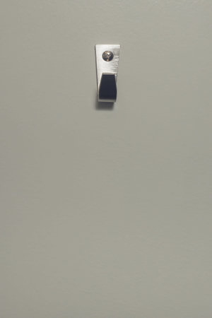 Strong Steel Wall Hanger.