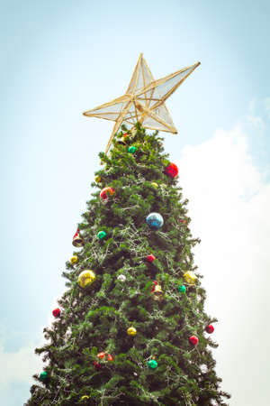 Christmas tree.の写真素材