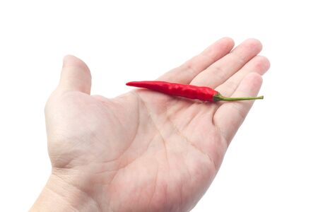 Thai Chili pepper on hand.の写真素材