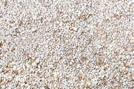 white round rock dry leaf on the groundの写真素材