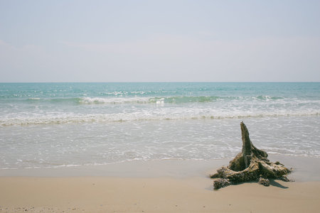 beach with old wood, silence lonely sea beach, seaside, alone seashore or seacoast concept vintage color tone for background or postcardの写真素材