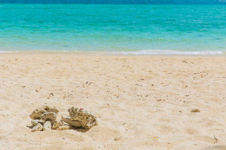 sand sea beach for background.の写真素材