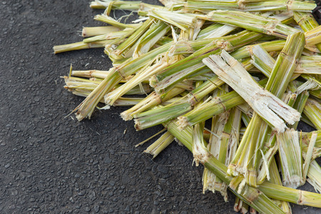 Sugarcane bagasse, nature fiber recycle for biofuel pulp and building materials.の写真素材