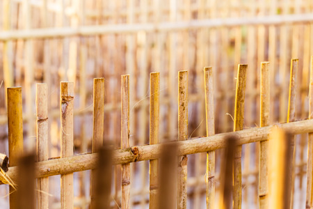 bamboo wood fence in Thai rural country side.の写真素材