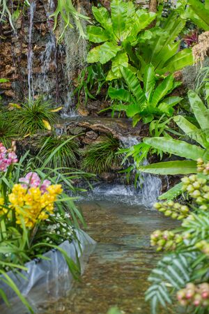home garden backyard water fall green nature zone decorationの写真素材