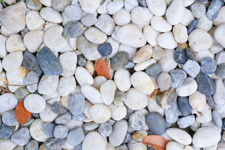 Round stone background, White clean round Pebble stone texture.の写真素材