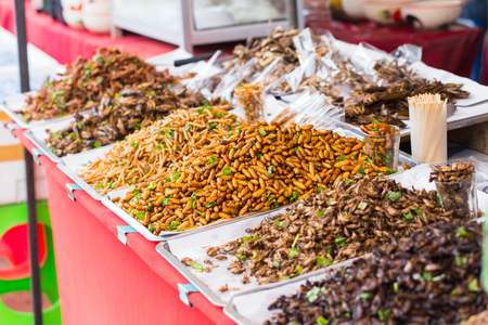 Bug fried sale business Asian Insect Snack food, High Protein from nature.の素材 [FY31076960504]