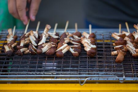 Street food in Thailand. bamboo wood stick mushroom grill in stove.の写真素材