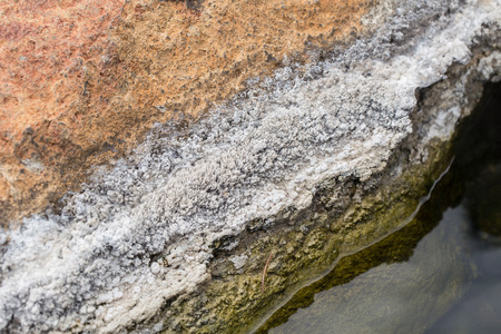 White algae and mineral layer in the stone in nature hot springsの写真素材