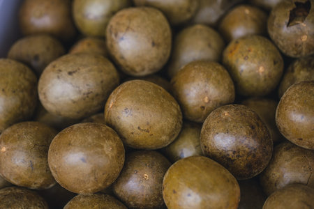 Dried Luo han guo. fruite seed of natural chinese herbal to healing Sore throat by drink as tea.の写真素材