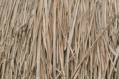 Thatched vintage color. asia rural countryside farmer concept background.