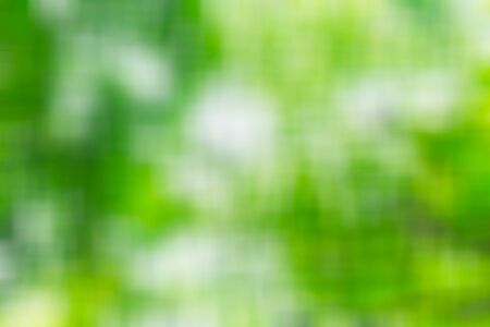 blur green nature soft smooth abstract for backgroundの写真素材