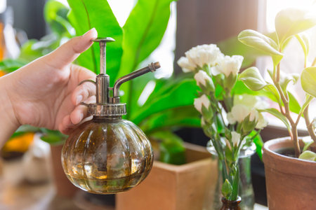water spray botanic green indoor garden style home decoration