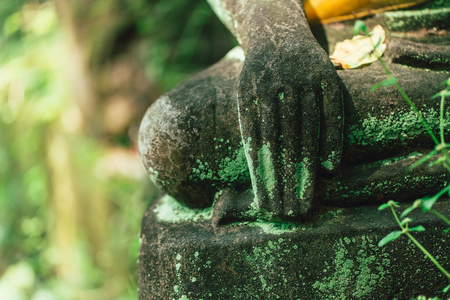 old stone hand of Buddha the asian art in the forest in Wat U-Mong Chiangmai Thailand.の写真素材