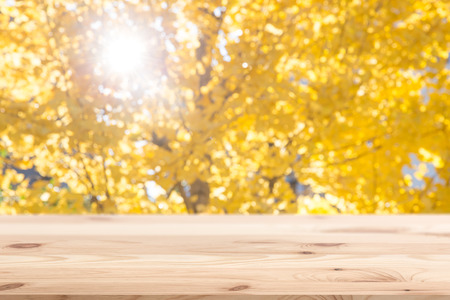 blur autumn fall season tree background with wood for display show promotion products background.の写真素材