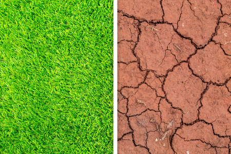 Green grass change to dry crack soil background texture. Element of design.の写真素材