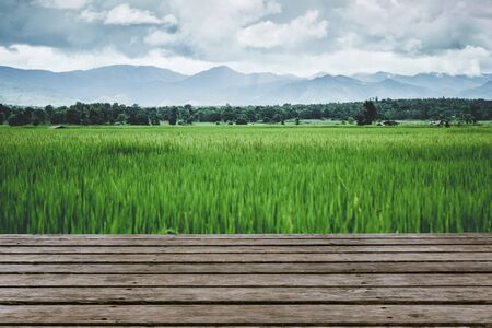 green field with wooden table top forground blank space for advertising.rice field outdoor rural view.の写真素材