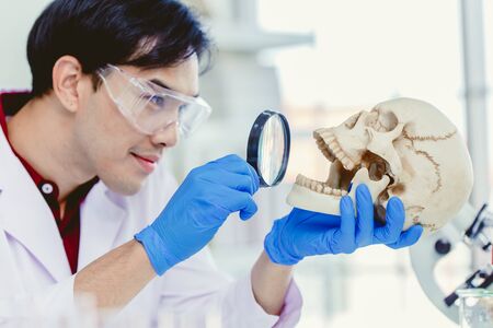 Scientist Physical anthropology in biological science lab studying human bone looking with Magnifying glass in skull to study mount and teeth age of ancient peopleの写真素材