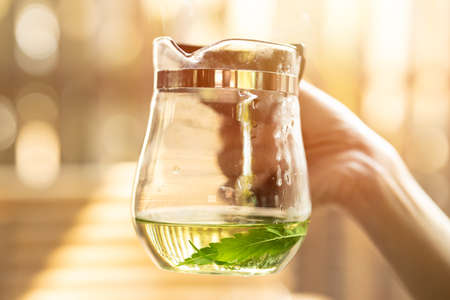 Healthy hot drink Sativa Cannabis Tea from Marijuana leaves, medical herbal tea from green nature plant.の写真素材