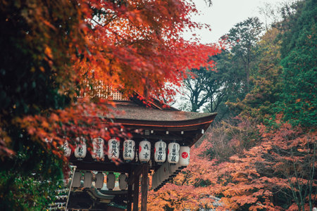 Most beautiful ancient Japanese temple or shine in Kyoto around red maple forest in Autumn season.29 November 2017.Kyoto, JAPAN.のeditorial素材