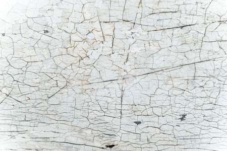 white color crack on old wood surface pattern for background. cracked wooden board painting texture.の写真素材