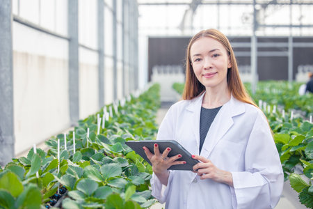 portrait scientist in large green house organic strawberry agriculture farm for plant research working woman.の写真素材