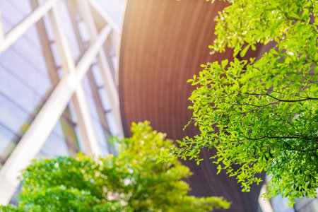 Green city good ecology environment tree park around modern office building for fresh ozone air low carbon.の写真素材