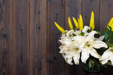 white lilly flower yellow bud decoration on dark pine wooden panel blank space background for advertisingの写真素材