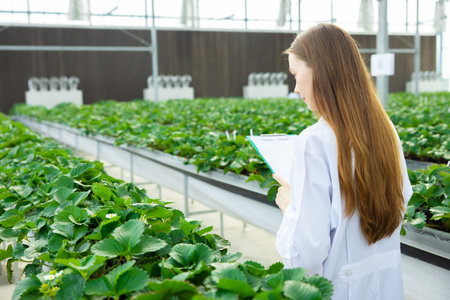 Scientist working collect data record tracking plant grow data for agriculture farm research science educationの写真素材