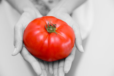 Tomato in hand for high lycopene nutrition vitamin good vegetable food for healthの写真素材