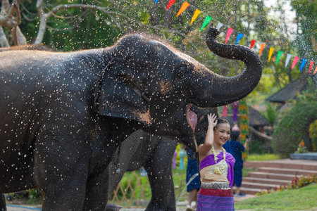 Songkran festival. Northern Thai people in Traditional clothes dressing splashing water together in Songkran day cultural festival with elephant.の写真素材
