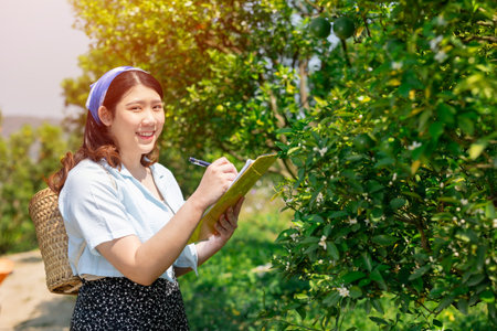 young women plant scientist work in orange farm. female working collect plant data in organic agriculture orange fruit tree farming.の写真素材