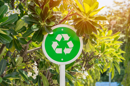 Green Tree with Recycle Label, Recycling Sign Symbol To Realize Environmental Conservation and Protect Nature by Reuse Garbage.の写真素材