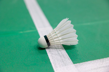 Badminton shuttlecock landed unsighted judge on floor edge court line decision incorrection in or out challenged problem conceptの写真素材
