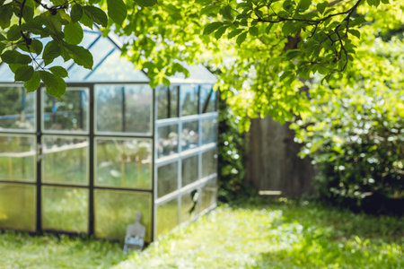Blur green garden , Glass house plant nursery at home backyard quit claim in countryside view for background.の写真素材
