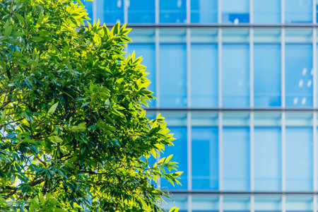 Eco friendly office building. modern city. Green tree in urban, metro green environment low carbon...