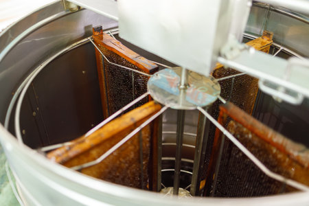 Apiculture, Growing bee in agriculture farm process for honey extract, highly nutrition natural food.の写真素材