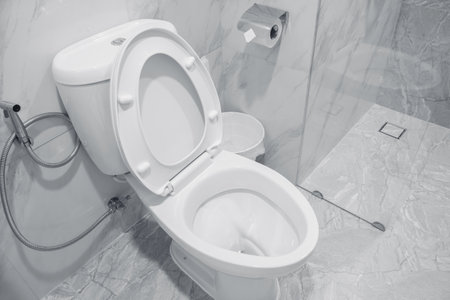 clean modern toilet bidet shower in the hotel bathroom, Restroom hygiene with stainless bidet sprayの写真素材