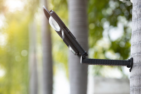 LED street lamp in public space solar power source lighting using tree trunk as a light pole nature...