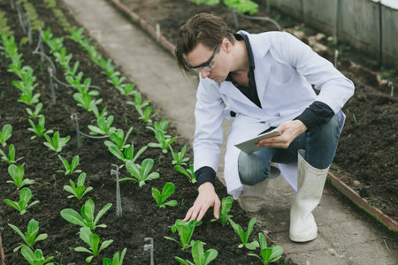 Modern farmer people working plant research in organic farm. Biologist study collecting plant grow...
