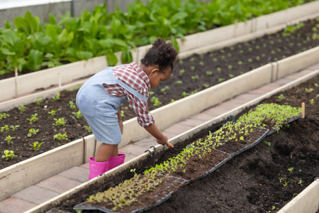 Happy African black farmer girl, Cute lovely preschool child playing planting green plant in...