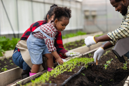 Happy African black people farmer family enjoy playing together with girl child planting plant in greenhouse vegetable farmの写真素材