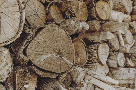 Closeup old dry wood log cut pile stacked timber for firewood and sawmill forestry industry