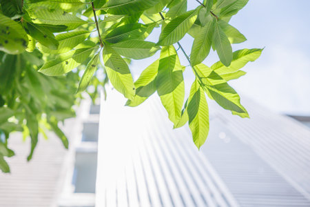 Green Eco city, Green tree with modern home apartment condominium for cool saving energy and fresh air.の写真素材