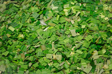 Pandanus leaves chopped for drying to make tea or oil extract, Thai cooking desserts, natural...